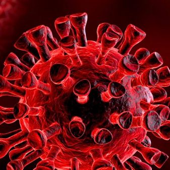 Dynamic Manipur extends aid