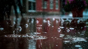 Northeast to witness enhanced rainfall