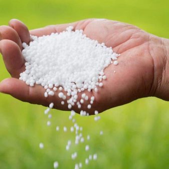 Urea fertilizers distributed, warning against price hike
