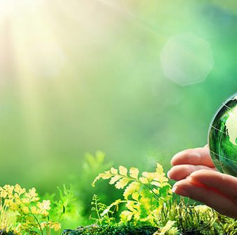 Being Vegan- a big step to protect the Earth