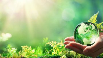 Being Vegan- a big step to protect the Earth