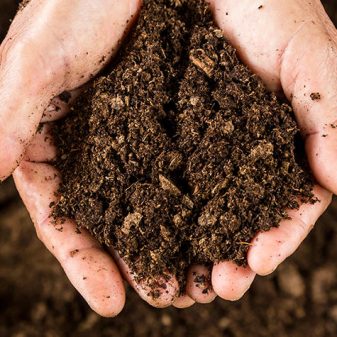 Soil: Earth’s skin is the environmental cleaner