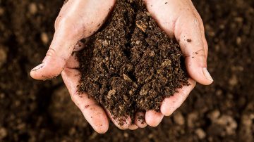 Soil: Earth’s skin is the environmental cleaner
