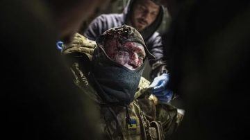 Ukrainian filmmakers bring battle against Russia to Berlinale film festival