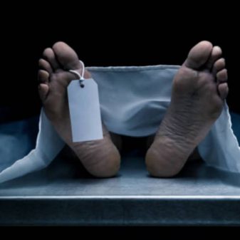Man stabs elder brother to death