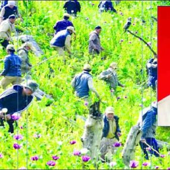 Missing for 14 days, VDF personnel found dead
