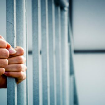 Three arrested in forest fire case jailed