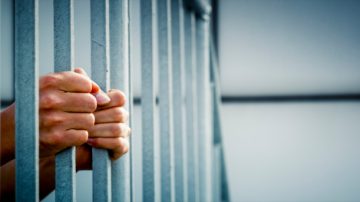 Three arrested in forest fire case jailed