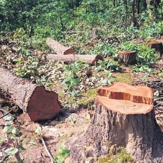 How cinema can play its part on the climate change stage