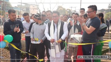 MLA Arunkumar hands over hanging bridge