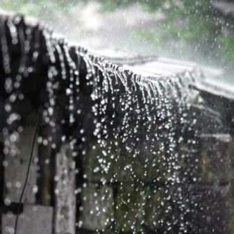 Rain and hailstorms expected in Northeast India over next four days