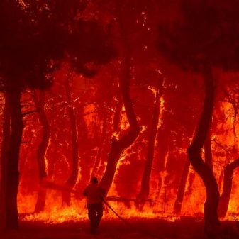 The rising threat of forest fires: The status of India’s forests
