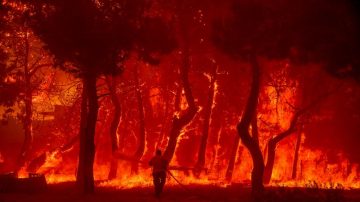 The rising threat of forest fires: The status of India’s forests