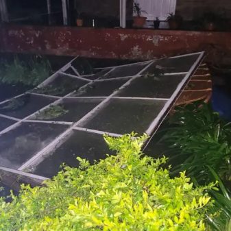 Hailstorm takes toll on tea plantation; second-flush yield wiped out