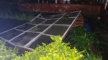 Hailstorm takes toll on tea plantation; second-flush yield wiped out