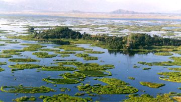 LDA to host workshop on wetland conservation