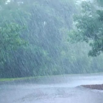 Rains to lash Northeast India this week; expect warmer weather too