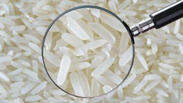 ZSF scans transshipment of FCI rice