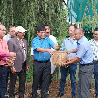 Varied utilisation of bamboo underlined