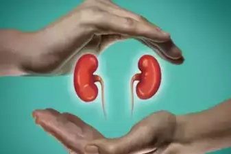 Top Delhi hospital part of kidney racket: UK daily