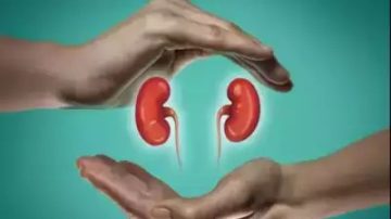 Top Delhi hospital part of kidney racket: UK daily