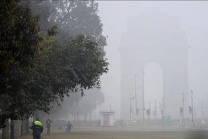 Dense Fog Paralyses Delhis Transportation