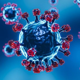 Covid cases in India: India logs 602 new cases, 5 deaths in the last 24 hours