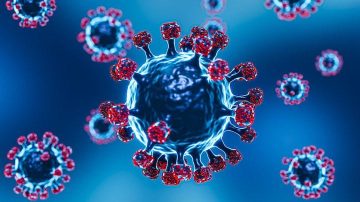 Covid cases in India: India logs 602 new cases, 5 deaths in the last 24 hours