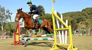 Closing Ceremony of the 17th Ningthoukhongjam Tombi State Equestrain Championship 2024 postponed